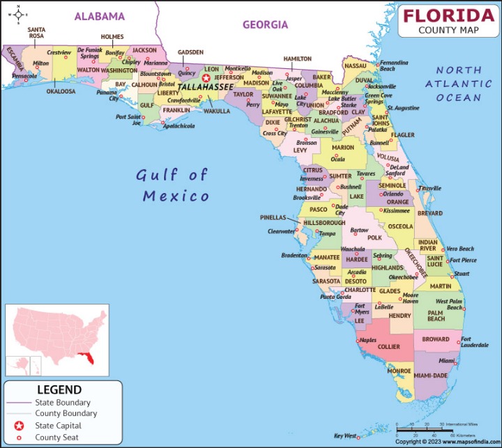 florida darknet markets