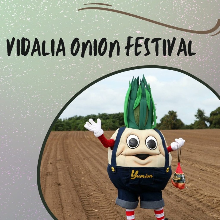 onion live links