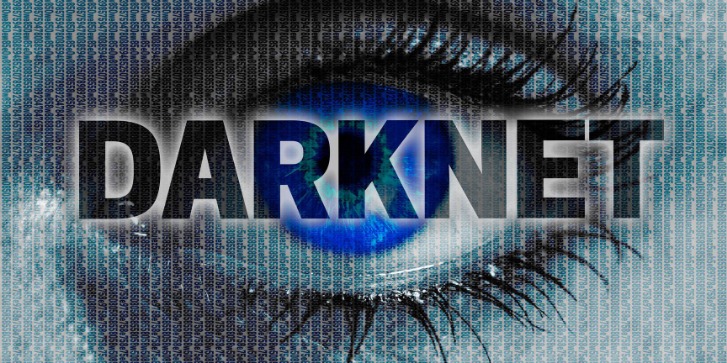 darknet database market