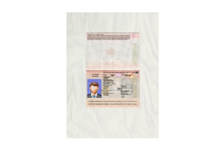 fake id dark web 2026